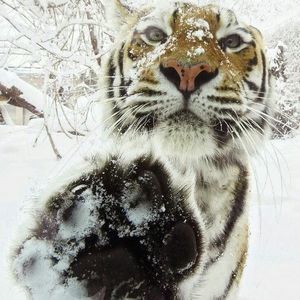 Meet your Posher, Sandra